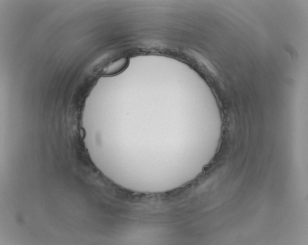 X0000115301016200911231305