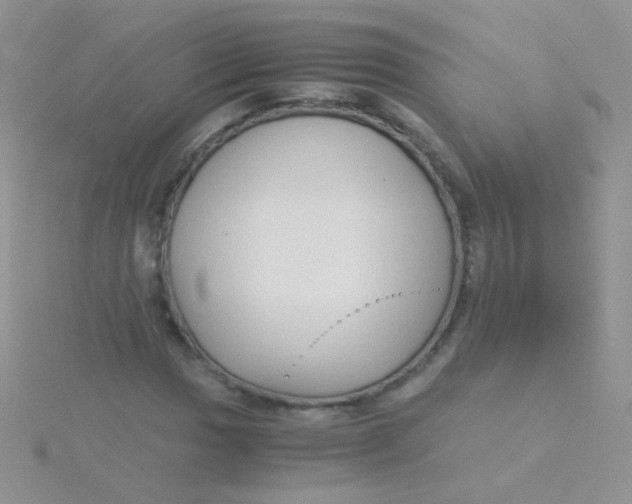 X0000115301017200911231305