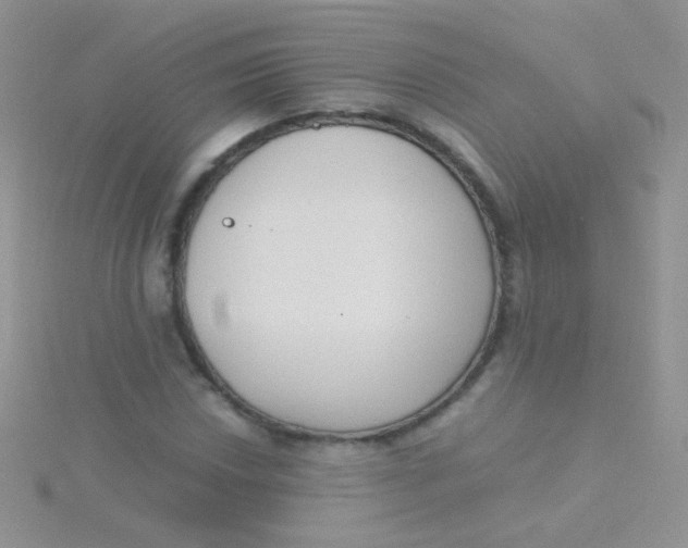 X0000115301018200911231305