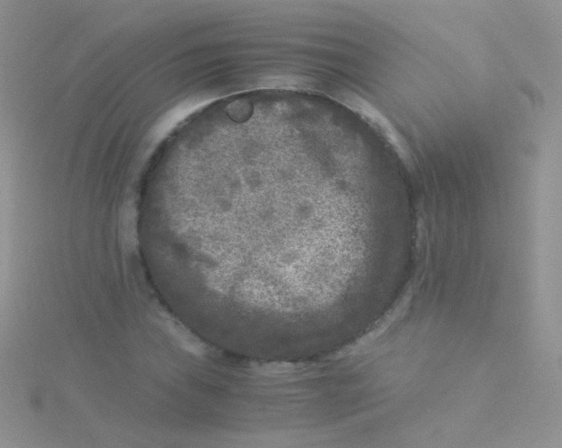 X0000115301019200911231305