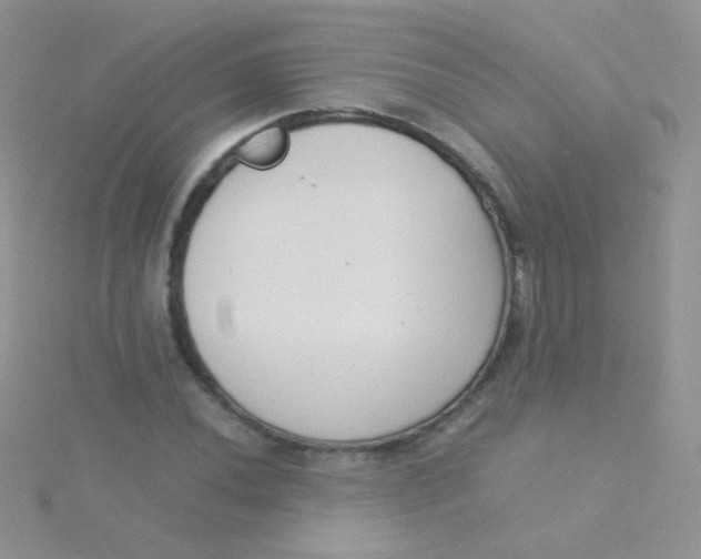 X0000115301020200911231305