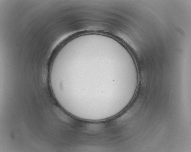 X0000115301021200911231305