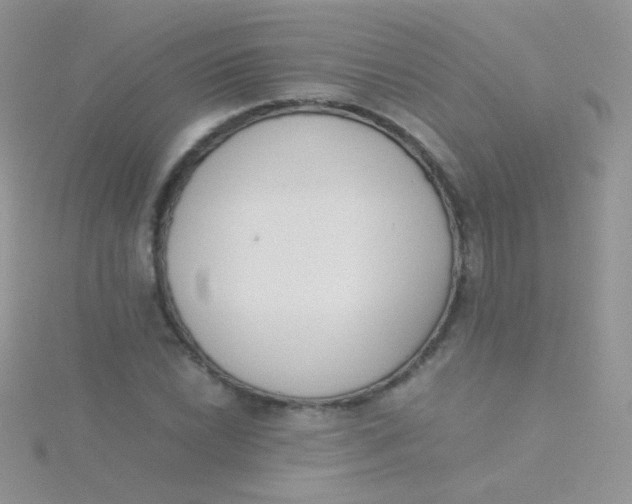 X0000115301022200911231305