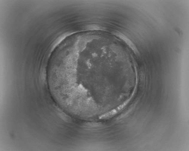 X0000115301023200911231305