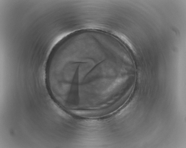 X0000115301024200911231305