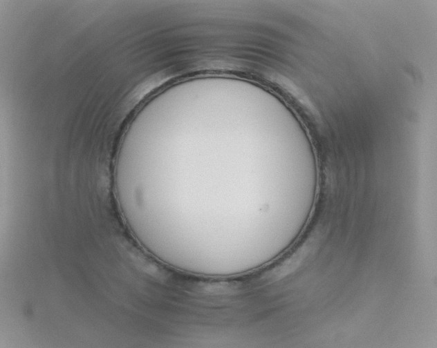 X0000115301025200911231305