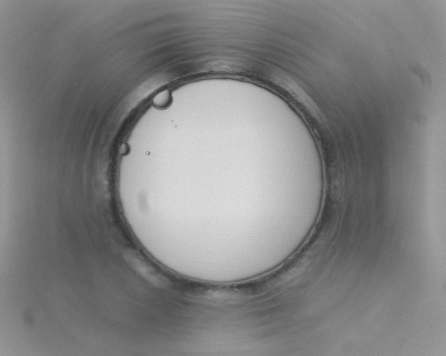 X0000115301026200911231305