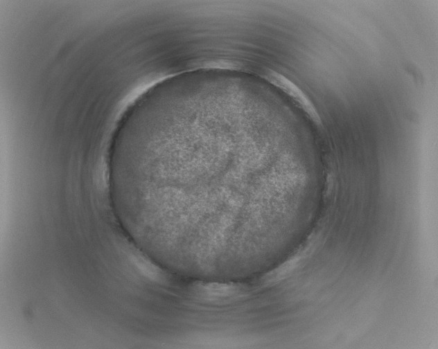 X0000115301027200911231305