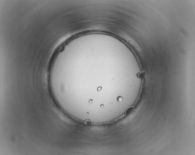 X0000115301029200911231305