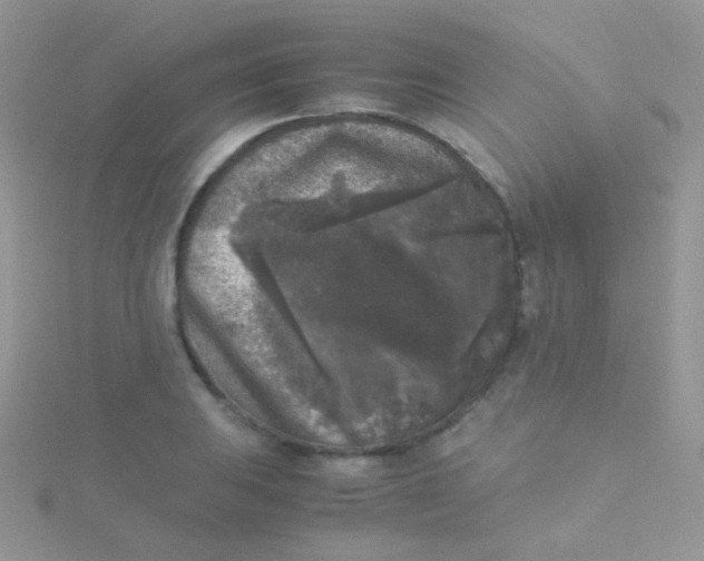 X0000115301031200911231305