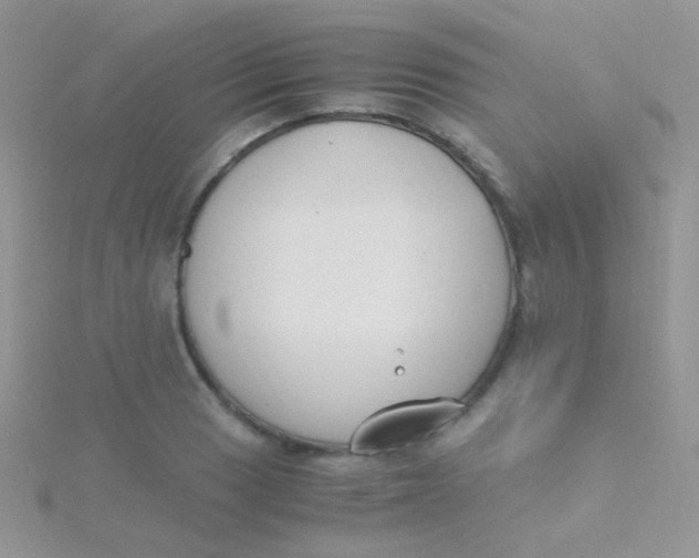 X0000115301033200911231305