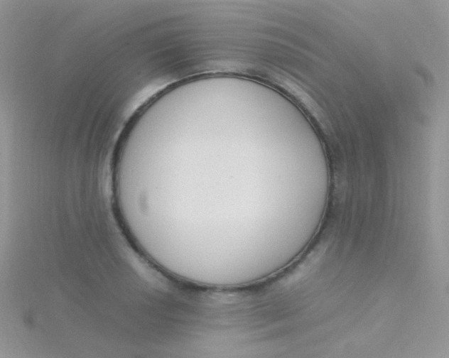 X0000115301034200911231305