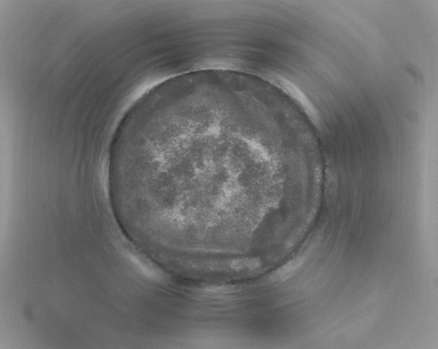 X0000115301035200911231305