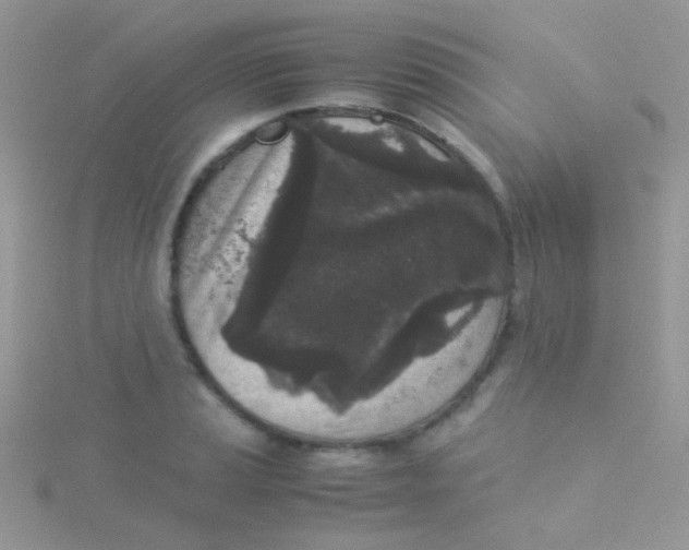 X0000115301037200911231305