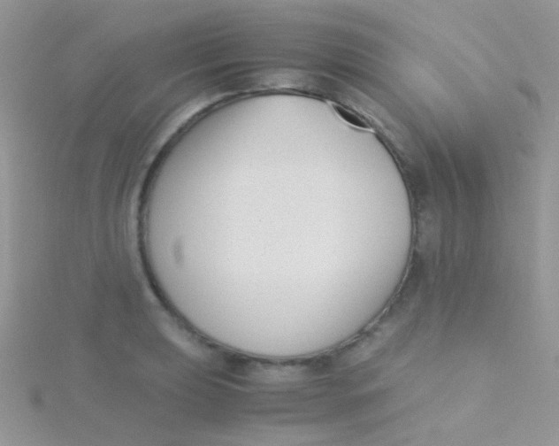 X0000115301039200911231305