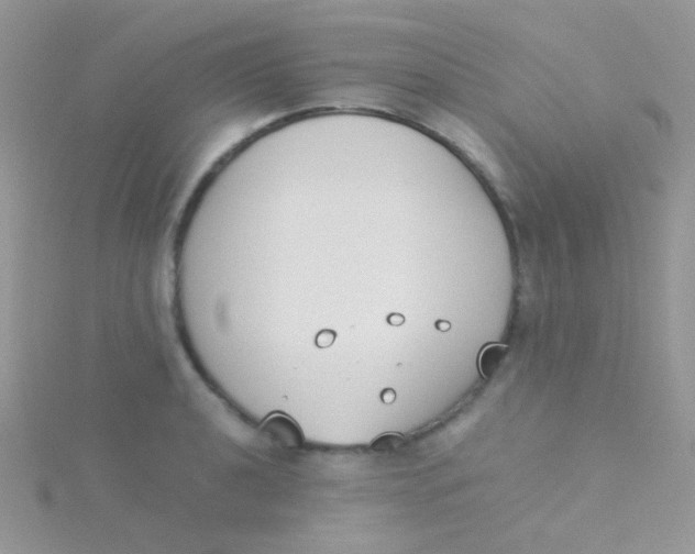 X0000115301040200911231305