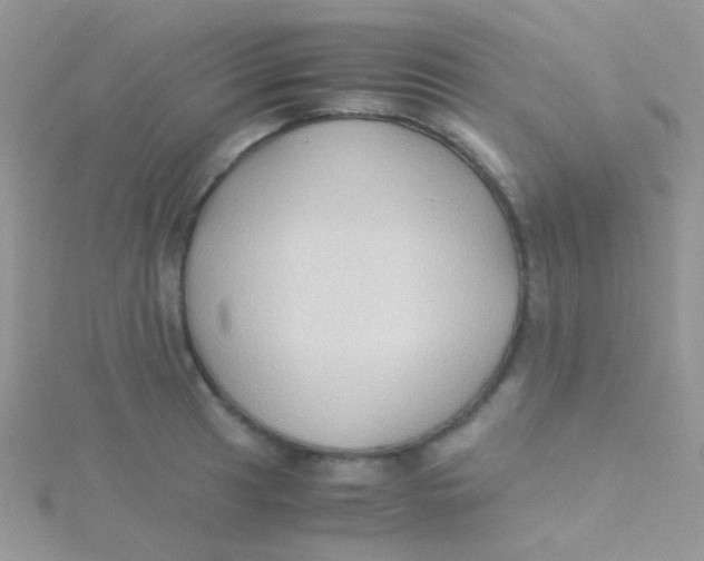 X0000115301041200911231305