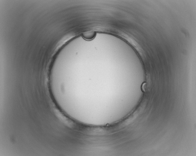 X0000115301042200911231305