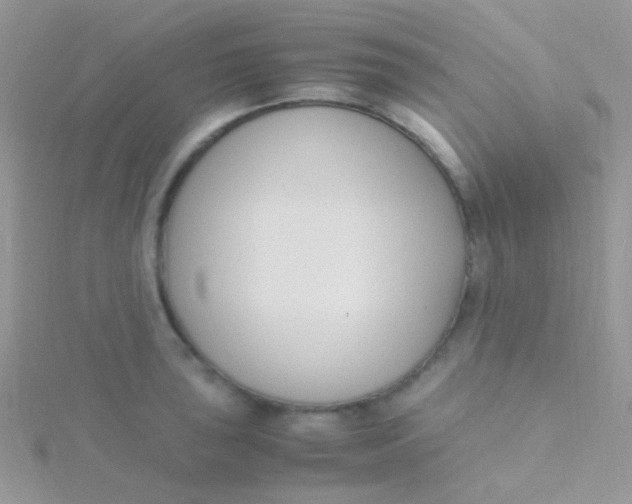 X0000115301043200911231305