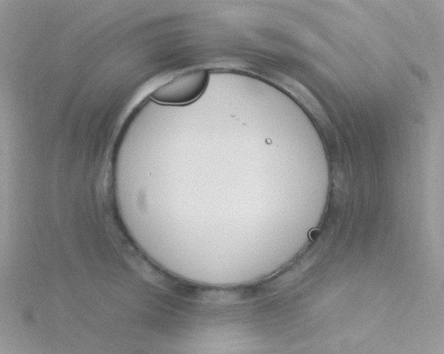 X0000115301044200911231305