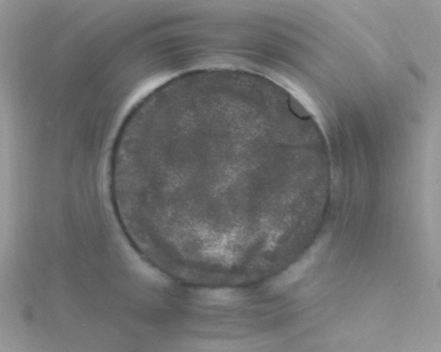 X0000115301045200911231305