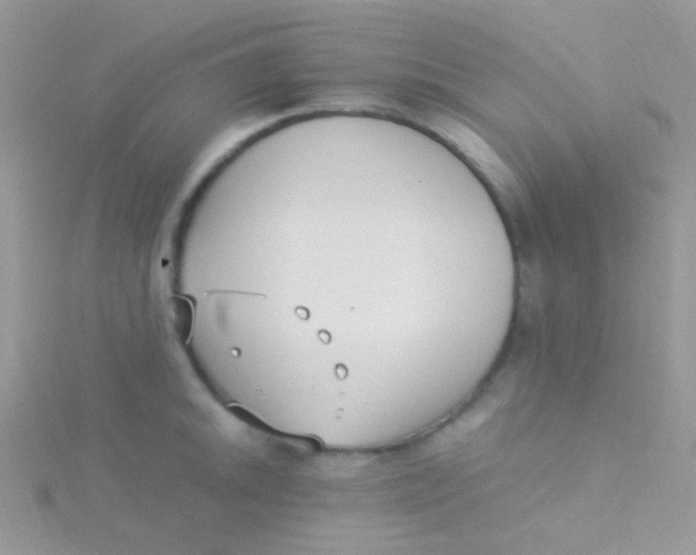 X0000115301046200911231305