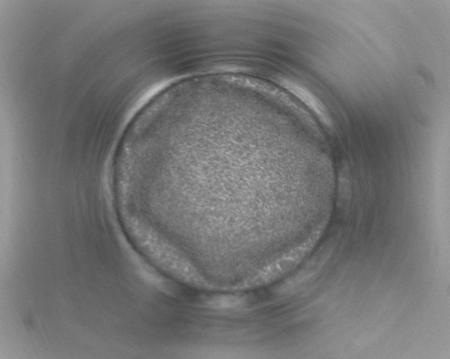 X0000115301047200911231305