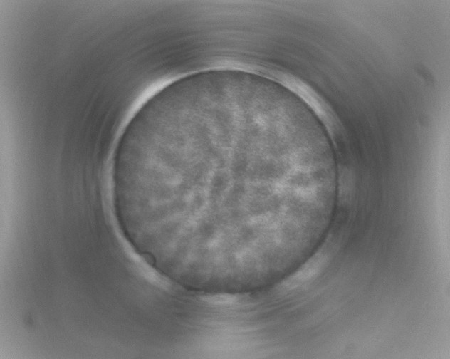 X0000115301048200911231305