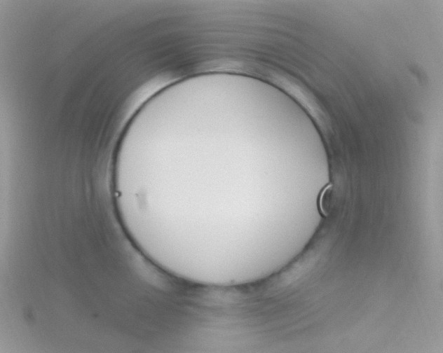 X0000115301050200911231305