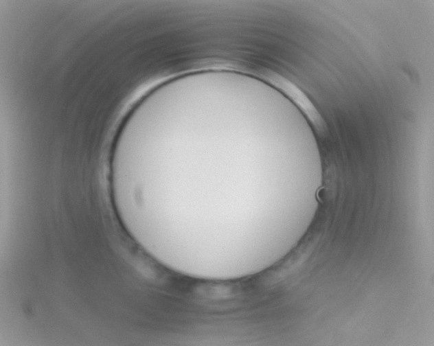 X0000115301051200911231305