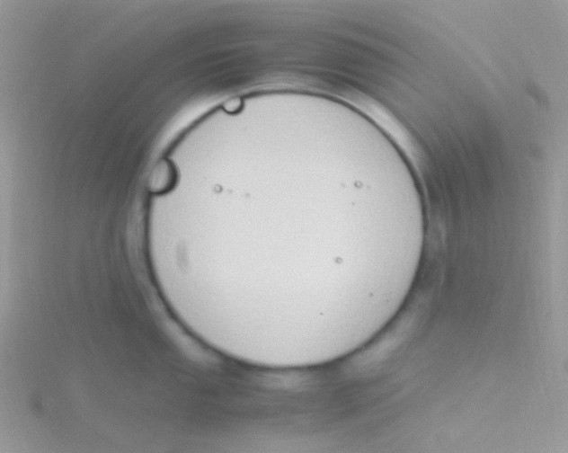 X0000115301053200911231305