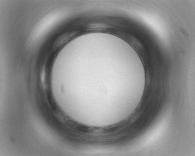 X0000115301054200911231305