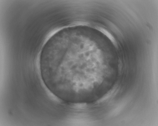 X0000115301055200911231305