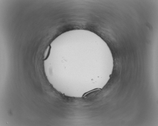 X0000115301057200911231305