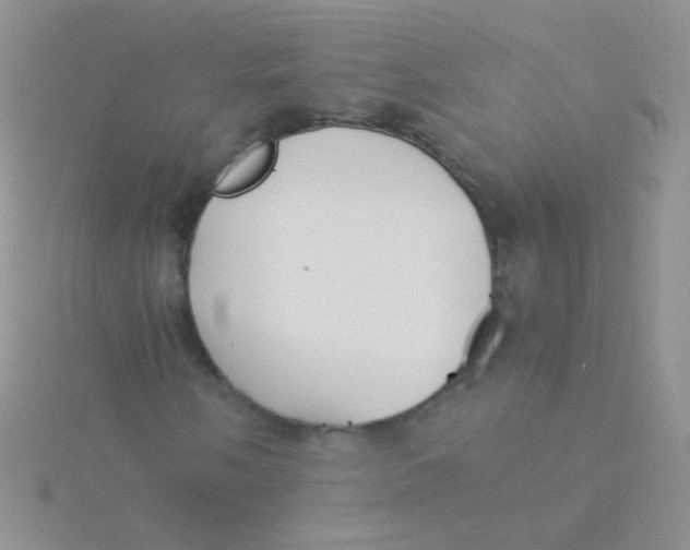 X0000115301058200911231305