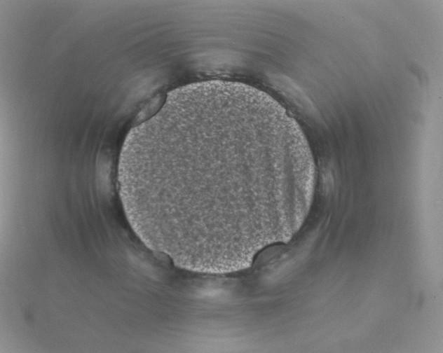 X0000115301060200911231305