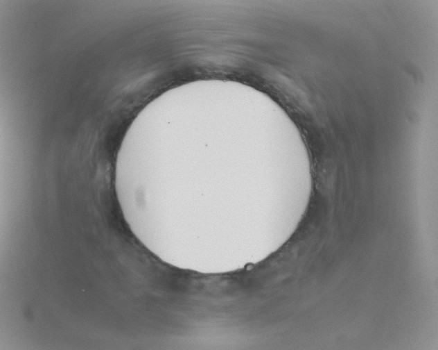 X0000115301061200911231305