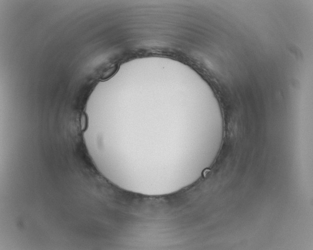 X0000115301062200911231304