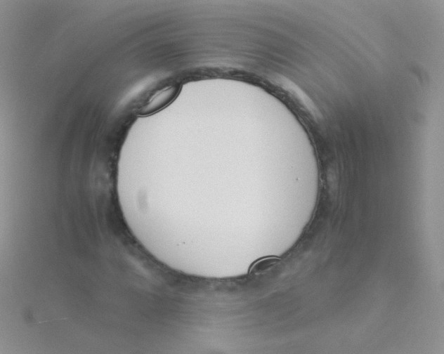 X0000115301064200911231304