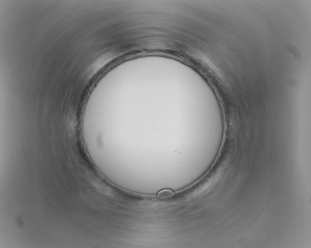 X0000115301065200911231304