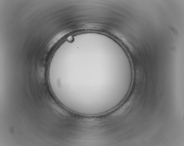 X0000115301066200911231304