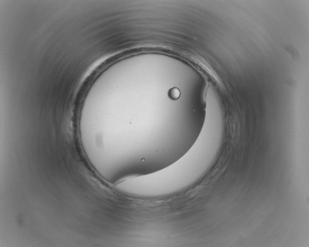 X0000115301068200911231304