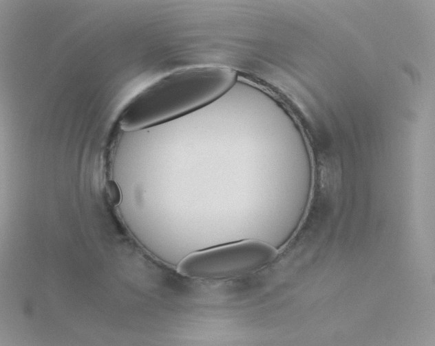 X0000115301069200911231304