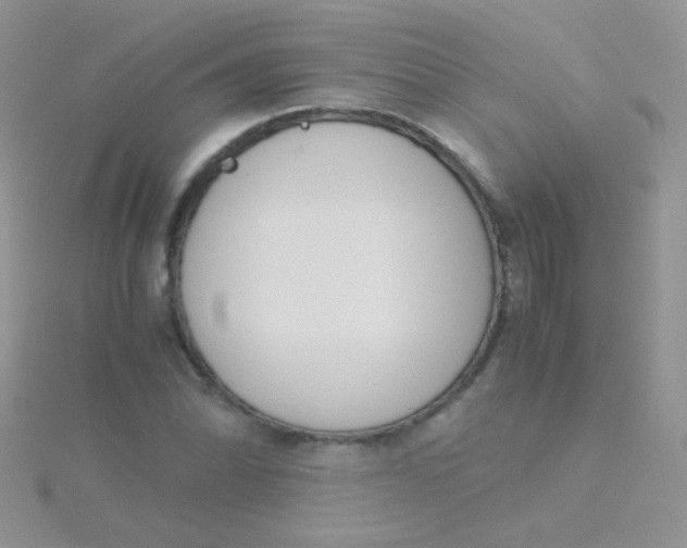 X0000115301070200911231304