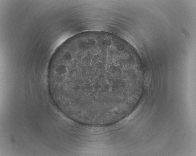 X0000115301071200911231304