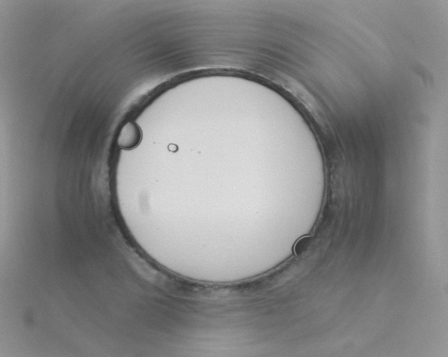 X0000115301072200911231304