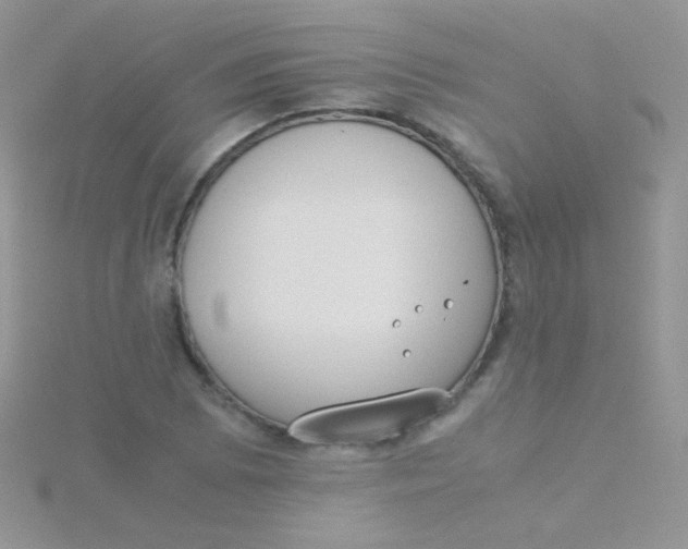 X0000115301073200911231304