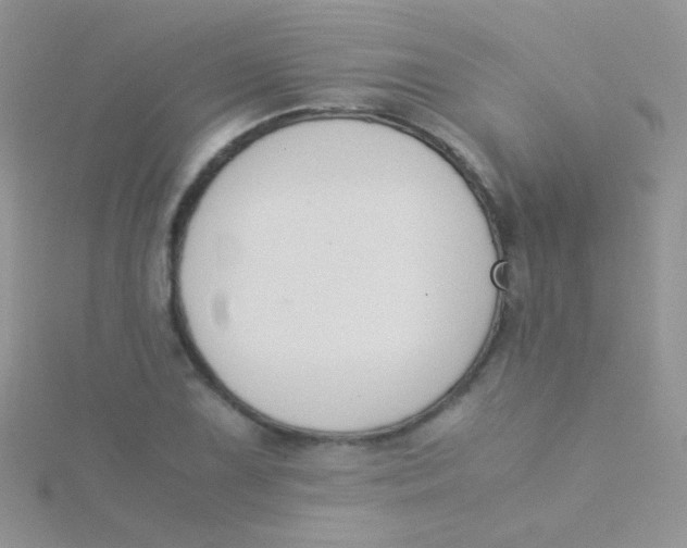 X0000115301075200911231304