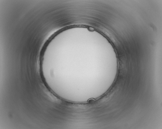 X0000115301076200911231304