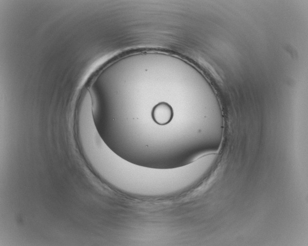 X0000115301077200911231304